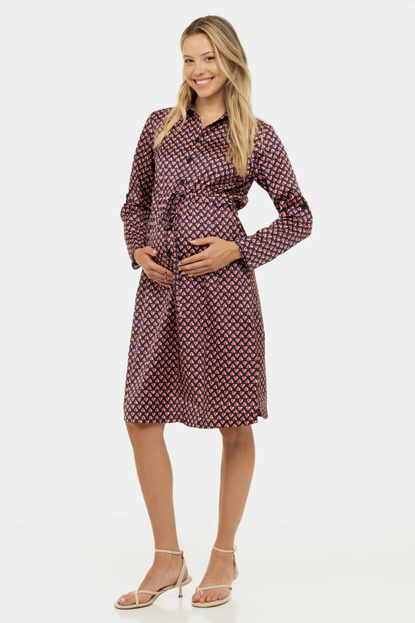 Satiniertes Umstands- und Still-Blusenkleid